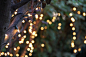 Bokeh of String Lights on Tree