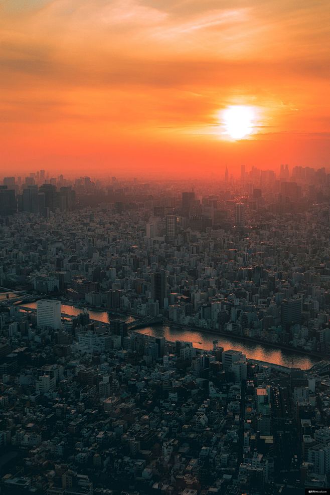 太阳天空天际线城市城市景观河风景摄影图片图片壁纸