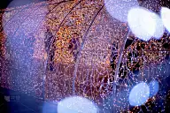 美丽的圣诞节彩灯