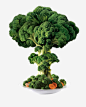 西兰花高清素材 创意 绿色 美食 胡萝卜片 蔬菜 西兰花 免抠png 设计图片 免费下载