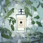 鼠尾草与海盐香水 | Jo Malone China E-commerce Site : <P>仿若置身于海风习习的海岸。海浪翻卷出细碎白色<BR>泡沫，空气中弥漫海盐和水花的清新。悬崖上独有<BR>的天然矿物香调，糅合着鼠尾草的木质大地芬芳。<BR>自由、活力、纵情畅享。</P>