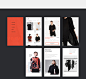 VERVE website concept