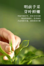 一杯香明前龙井茶茶叶绿茶250克礼盒装2022新茶浓香型散装自己喝-tmall.com天猫