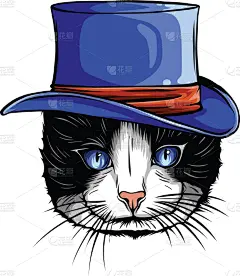 猫,帽子,幽默,灰色,潮人,可爱的,商务,肖像,现代
