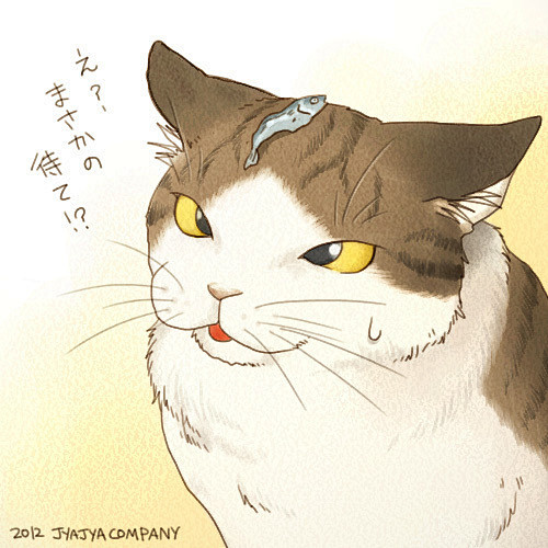 可爱的猫眯小丸子_插画_新浪轻博客