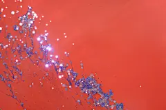 颜料色彩水彩油画艺术抽象背景颜色丙烯绘画艺术品818A4498 – 饿狐背景网站-微距高清设计素材免费图片下载海报壁纸摄影背景素材，背景图，背景墙，背景板，背景图片，背景纹理，背景板设计，背景材质，背景大图