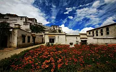 西藏布达拉宫高清风景图片壁纸-55壁纸网