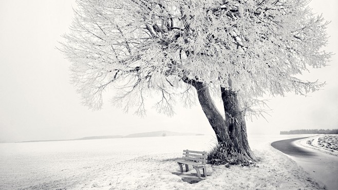 一般2560x1440摄影风景自然冬天雪...