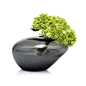 Smoke Signal Vase | dotandbo.com: 