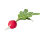 萝卜 (2) @到位啦UI素材 80款水果食品厨具3D图标模型
