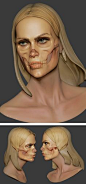 Female Skull Study created with ZBrush #3D #anatomy skullappreciationsociety.com