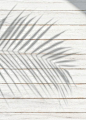 White wooden plank with a leaf shadow background | free image by rawpixel.com