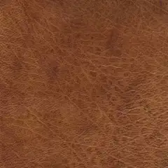 各种皮革材质贴图(2)