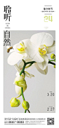 地产花儿春分刷屏海报