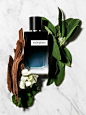 Clément Halborn | Perfume Photography : YSL Beauty