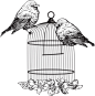 概念,自然,动物,笼子,鸟类_165926611_Birds on a cage_创意图片_Getty Images China