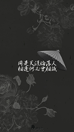 江南听禅音采集到传美