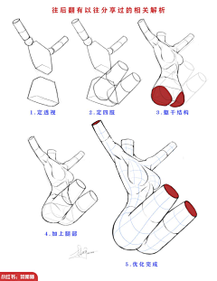 中间中采集到体型·女