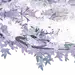 采集图片