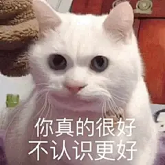 今日份沙雕表情包合集，请查收 ​​​​
