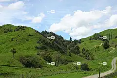 自然 户外的 Mac壁纸 冒险 自由背景 墙纸 高清 树 云