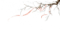 VCG211292415436