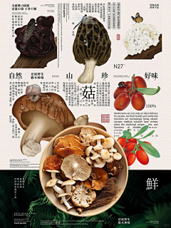 缺维生素B的兔子采集到数据/说明书