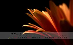 2012年8月日历电脑桌面高清壁纸桌面壁纸1