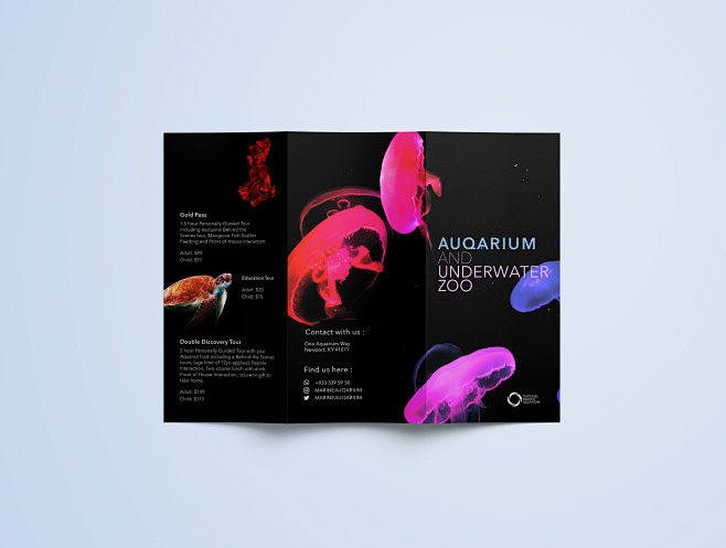 Trifold brochure des...