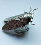 Cicada Silver ring by Pinkabsinthe on deviantART