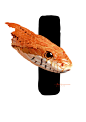 Snake color study 蛇色彩练习