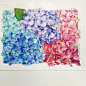 인내심이 필요한 수국
.
.
Saunders waterford H.W-rough (cotton 100% 300g)
#삼원특수지
#samwonpaper
#수국