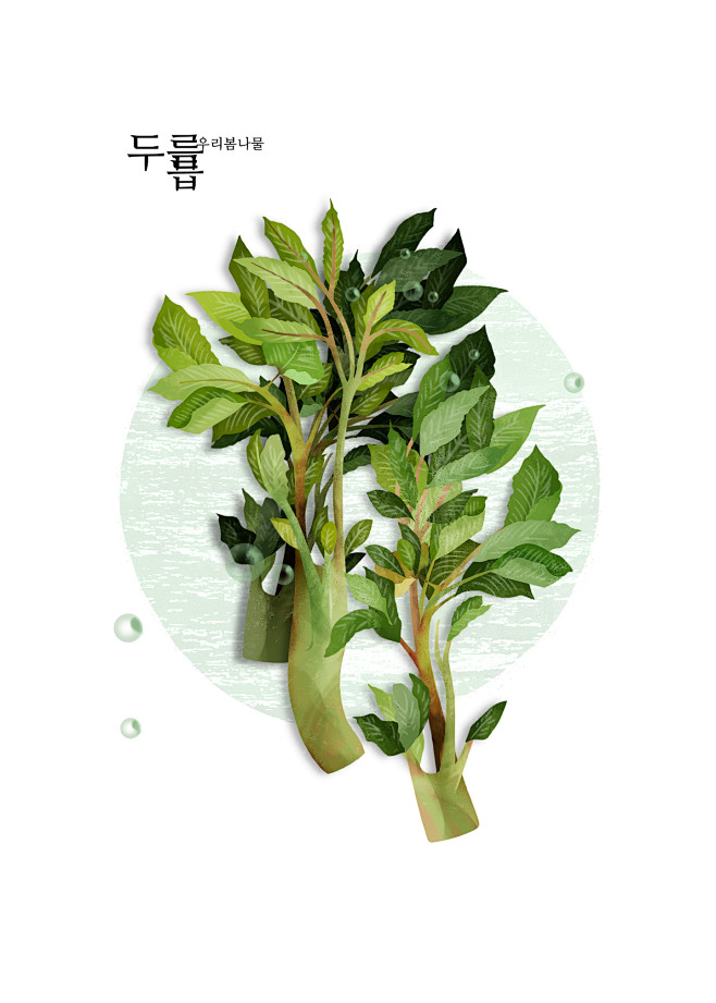 香椿芽 可口青菜 手绘植物 美食插图插画...