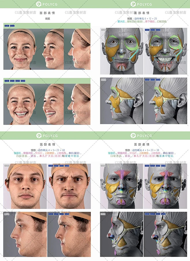 面部表情艺用解剖 头部脸部骨骼肌肉造型 动漫原画插画参考素材-淘宝网-花瓣网