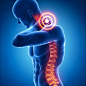 人体模型关节疼痛脊椎疼后背疼神经痛腰酸背痛肩颈疼痛