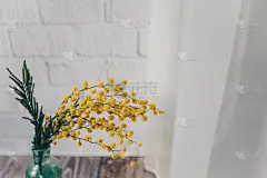 一个在砖墙背景上放着含羞草的小瓶子。春天的概念