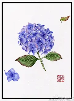这个绣球抛出来，跨度一年多，从线稿到上色完毕，中间多出个活蹦乱跳的小胖纸 ​​​​