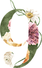 水彩清新花卉植物LOGO图标婚礼海报装饰透明免抠PNG图案装饰素材 (28)