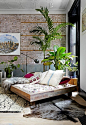 pflanze mit großen blättern tropisches flair schlafzimmer