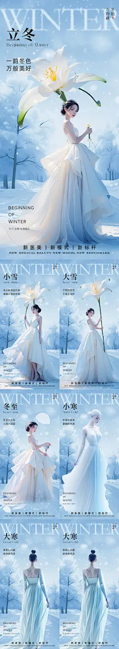 【仙图网】海报 医美 质感 二十四节气 立冬 小雪 大雪 冬至 小寒 大寒 雪花 唯美|1054982 