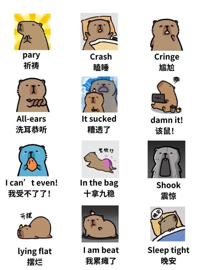 跟着表情包学英语③|学会了就是地道留子！