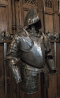 Medieval Armor (407) _服装--盔甲采下来 #率叶插件，让花瓣网更好用#
