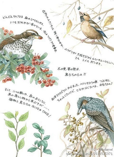 我的首页 新浪微博-随时随地分享身边的新...