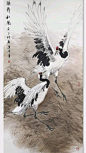 其中包括图片：