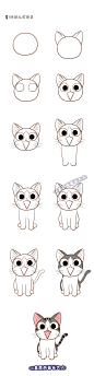 甜甜私房猫，来自@基质的菊长大人
