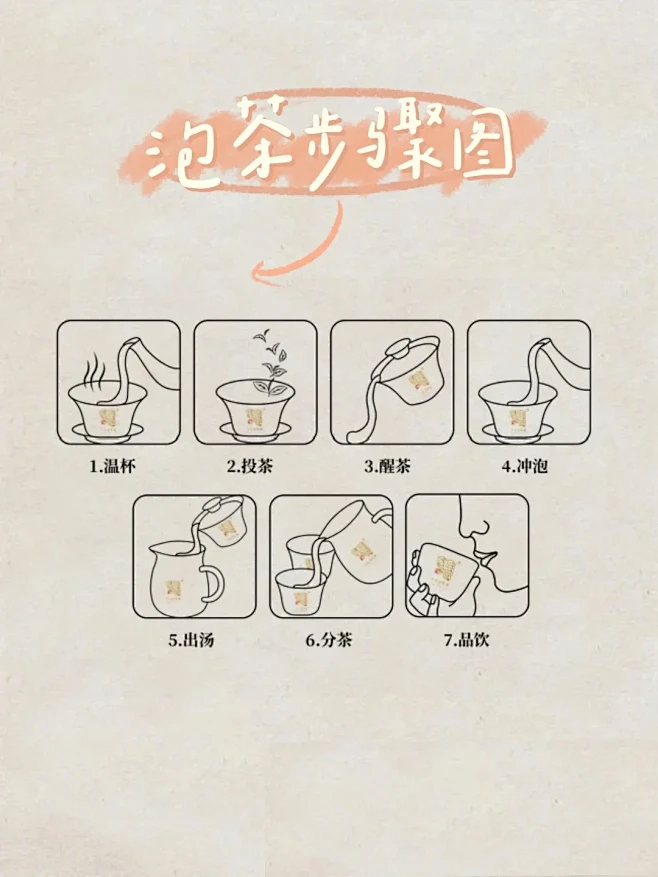 进阶篇｜记住泡茶7步法随时进阶泡茶高手‼️
