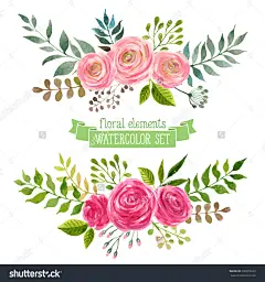 向量花集。丰富多彩的花卉收集树叶和鲜花,画水彩。春季或夏季设计邀请,婚礼或贺卡-自然,复古风格-海洛创意(HelloRF)-Shutterstock中国独家合作伙伴-正版素材在线交易平台-站酷旗下品牌