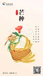 安信证券20年二十四节气之芒种