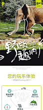网红新选 西双版纳野象谷一日游野象谷索道亲子小团旅游 bikego-旅游度假-飞猪