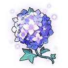 顺拐采集到花